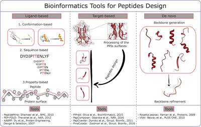 Bioinformatics and Biosimulations as Toolbox for Peptides and Peptidomimetics Design: Where Are We?